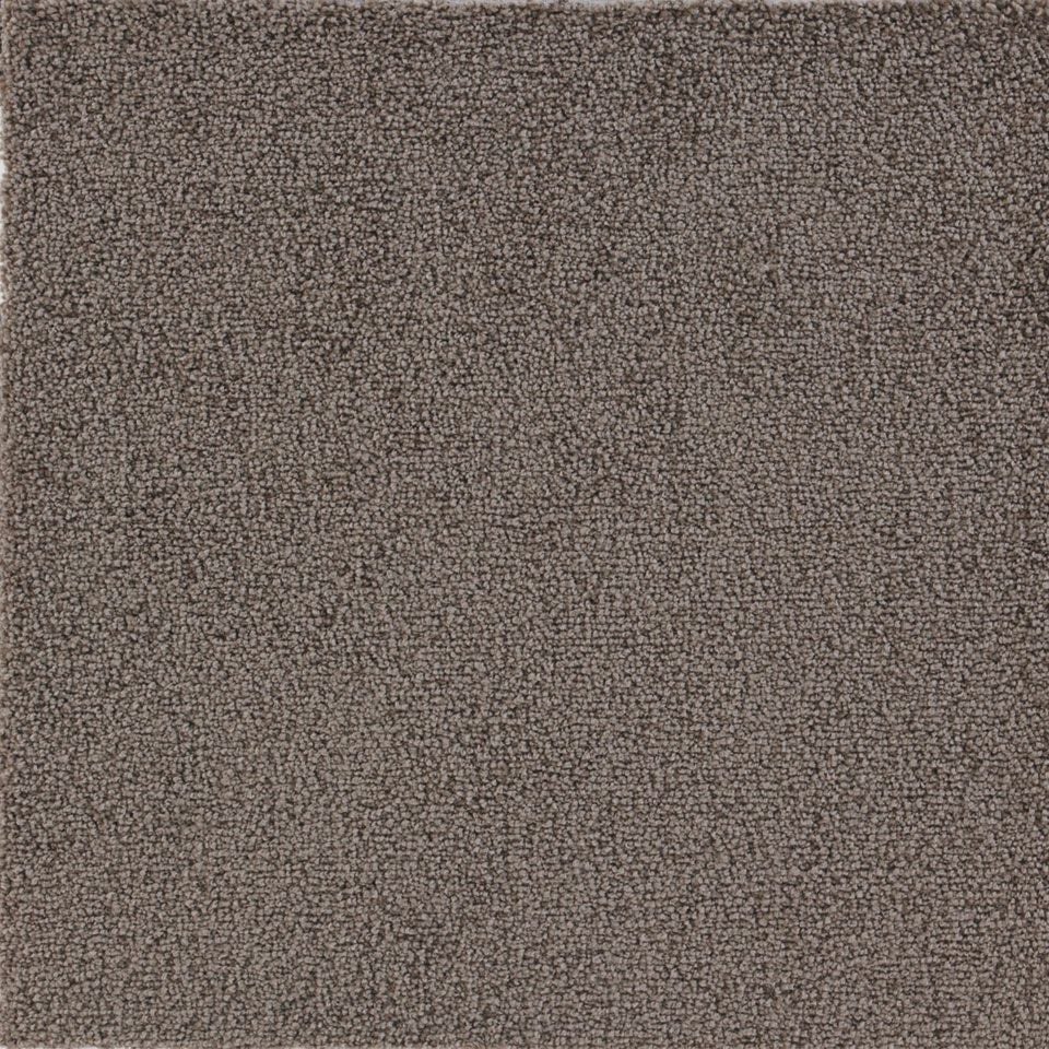 表面／カラー：ブラウン／50cm×50cm