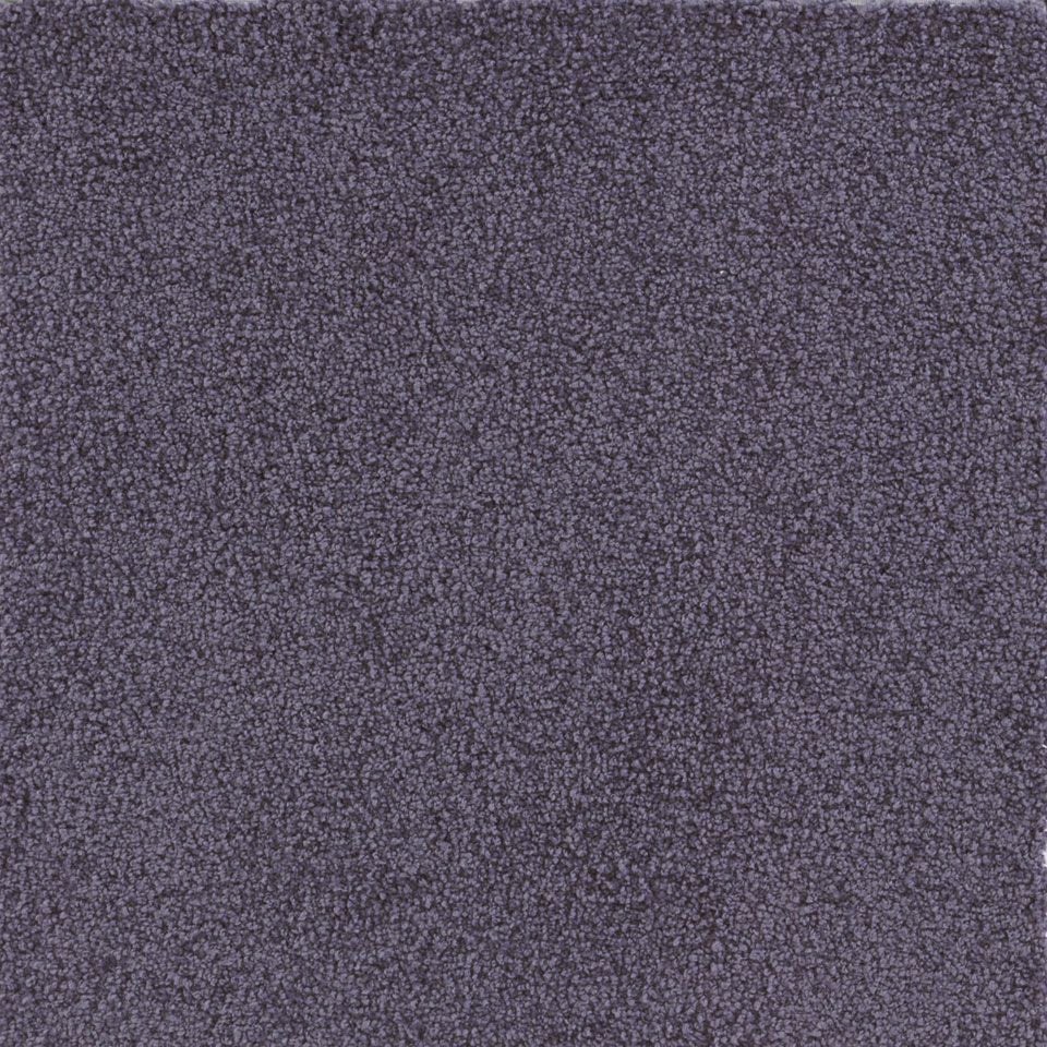 表面／カラー：パープル／50cm×50cm