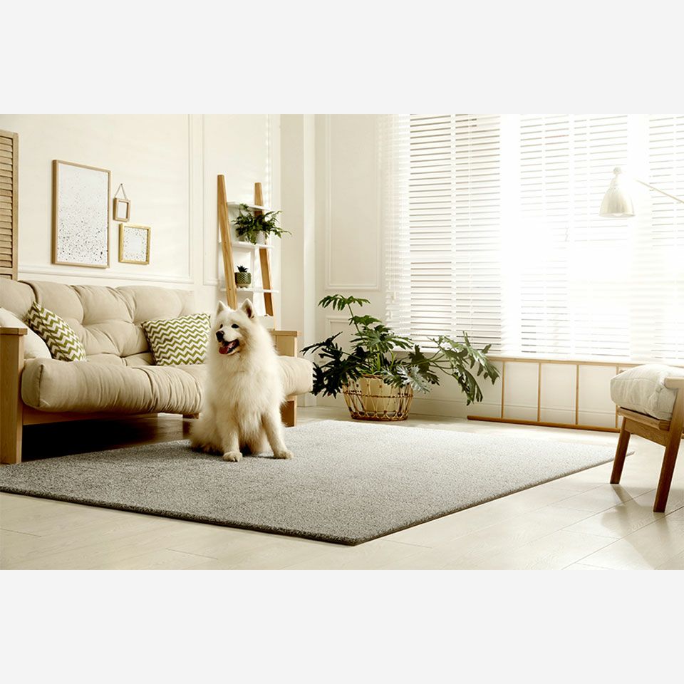 ライトグレー12枚使用