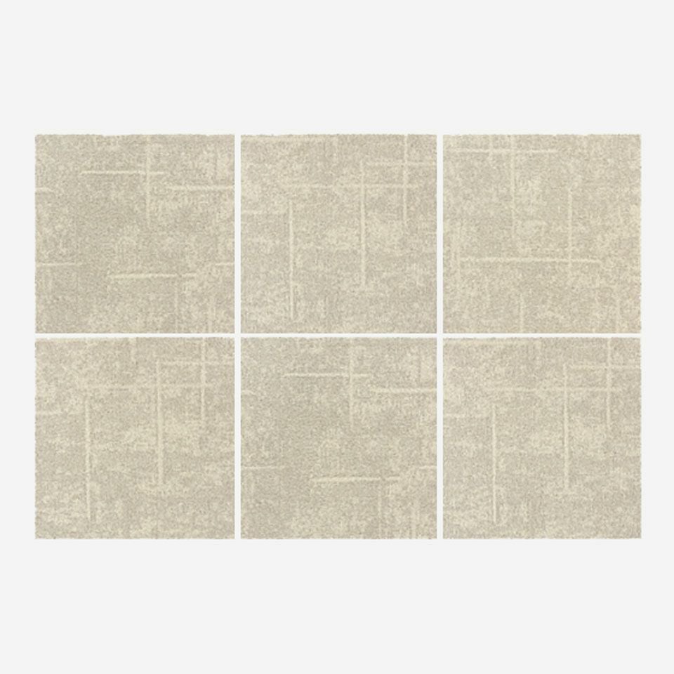 1ケース 6枚分の大きさになります