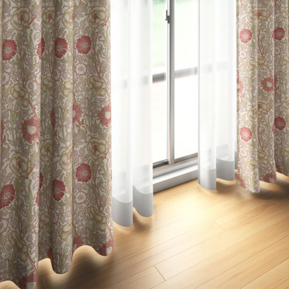 イメージ画像／「ピンク」とはカーネーションと同種であるナデシコの英名です