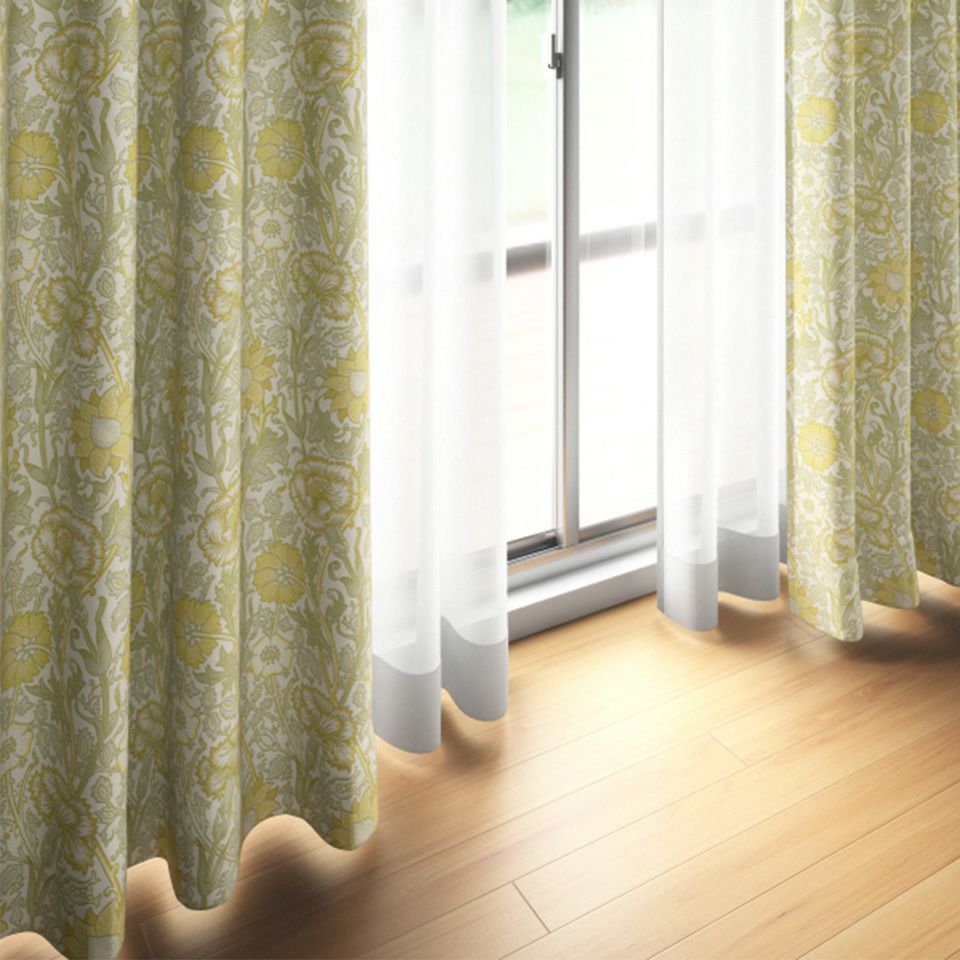 イメージ画像／「ピンク」とはカーネーションと同種であるナデシコの英名です