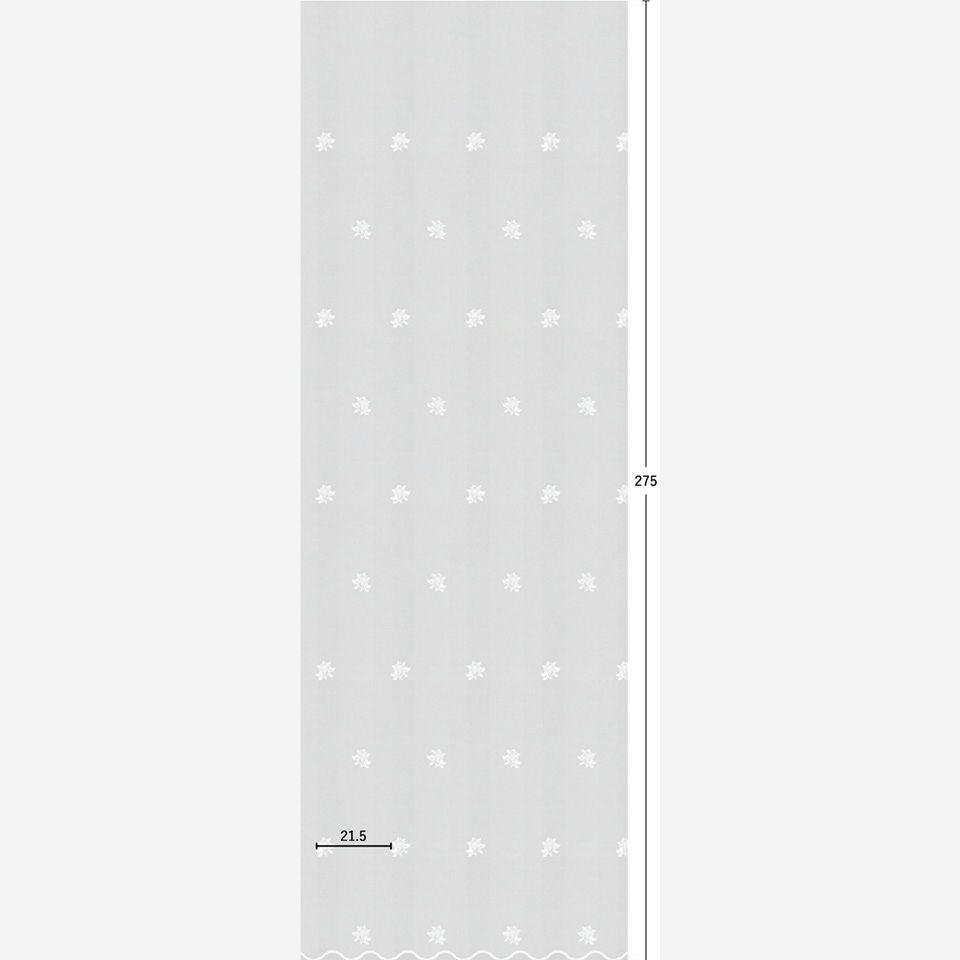 生地リピート画像