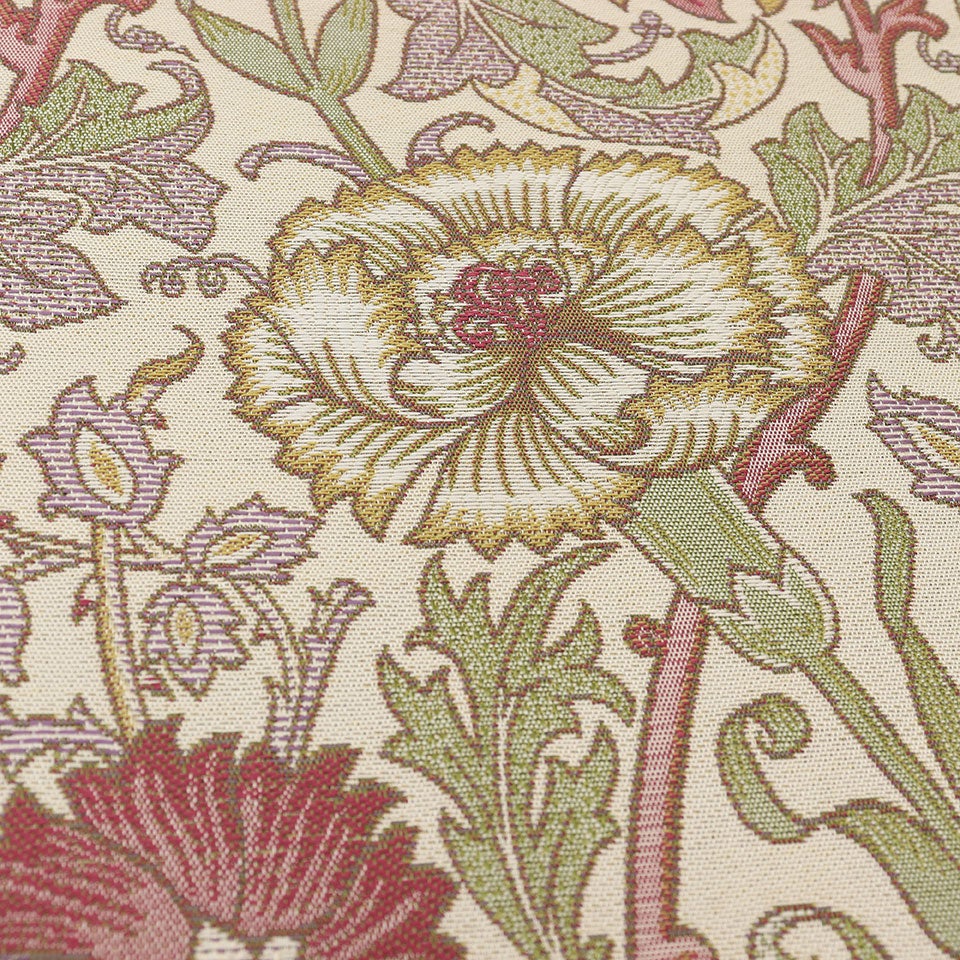 春に咲くカーネーション、撫子、野ばらが高く伸びていくように植物の生命力を描いたデザインです／カラー：ピンク