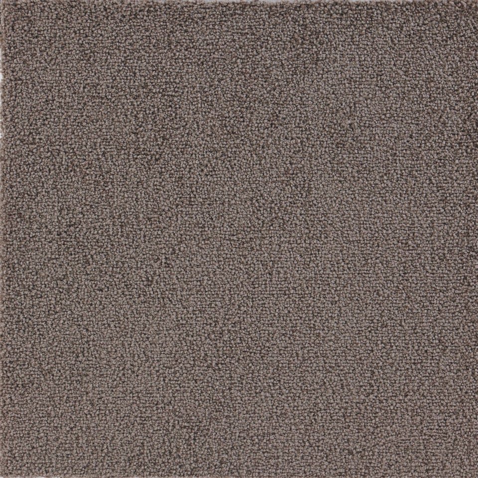 表面／カラー：ブラウン／(写真はカット前の製品)