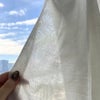 レースの透け感・室内からの見え方／2026年3月中旬の午前中、東京ショールームで撮影